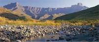 The Drakensberg Meadow 202x84